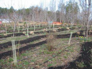 Cricket Cove Farm Cricket Cove Farm