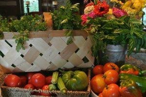 Cricket Cove vegetables Cricket Cove vegetables