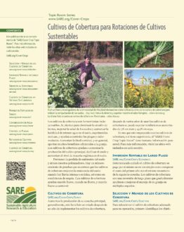 Cover of Cultivos de Cobertura para Rotaciones de Cultivos showing brassicas, forage radish and sunn hemp plants.