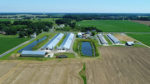 pollinator buffer on poultry farm