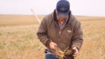 Dan Forgey holding an agricultural tool and holding dark soil, looking down in a blue hat and brown jacket