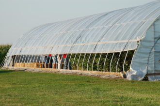 High Tunnel with people inside it