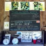 Agritourism advertising sign with the hours and pictures of butterflies