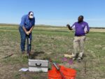two researchers digging in a field