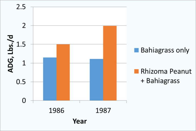 Perennial grass chart Perennial grass chart