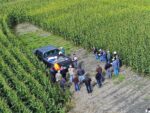 farmers share information in a corn field