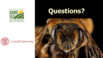 A slide show slide requesting questions with a picture of a bee