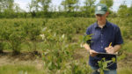 Enhancing Crop Yield Through Wild Pollinators cover