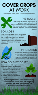 cover crops at work infographic cover crops at work infographic