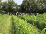 A group of people standing in the back of a green field