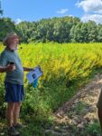 Man talking into a headset microphone in front of a field with yellow flowers holding a clipboard