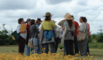 A group of people standing in a circle outside