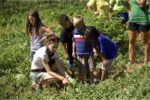 Farm to School farm tour