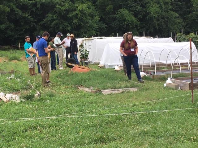 Low tunnels with crops being planted in them with people standing around