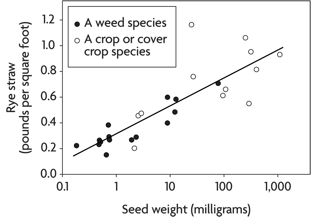 graph of the effect of rye straw on seed weight