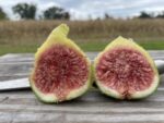 Figs, cut in half to show inside of fruit