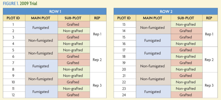 Figure 1 2009 trial chart between plot ID, Main Plot, Sub Plot, and Rep