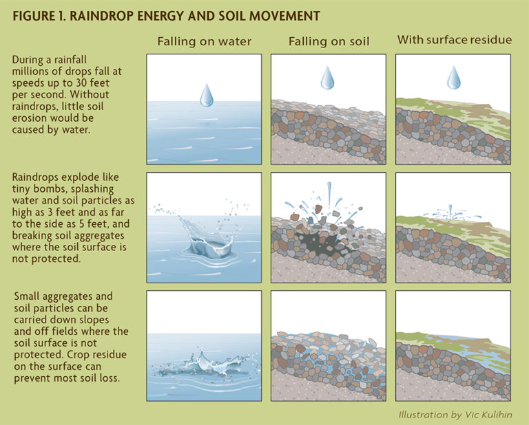 Soil Management SARE