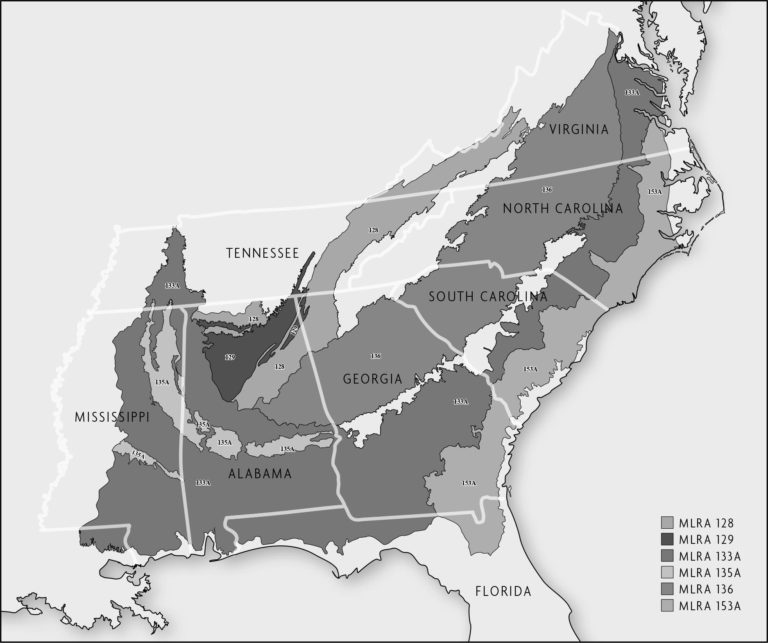 A map of South and Southeastern US states shaded different colors