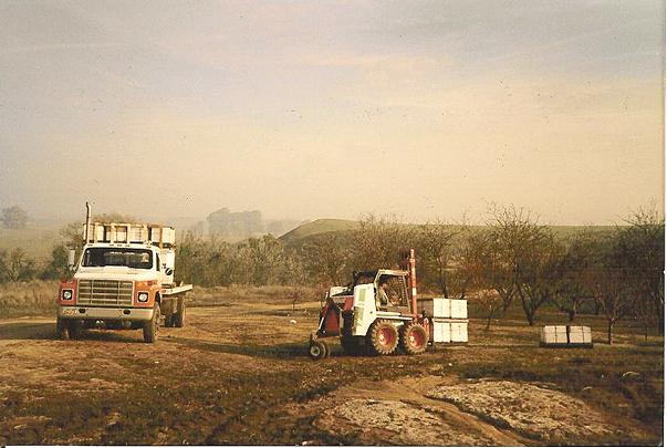 Honey bees truck