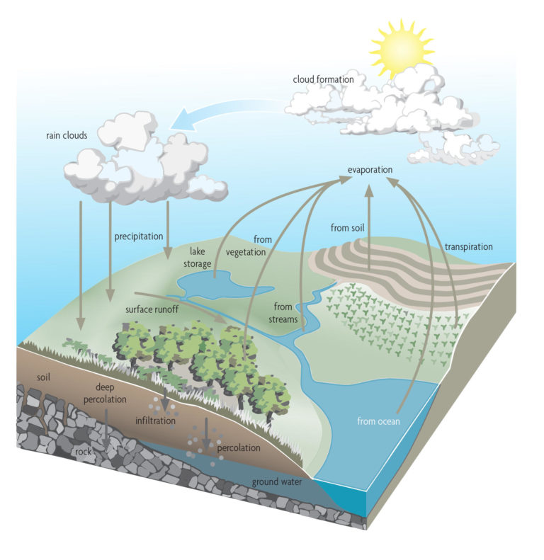 Figure 14.1 Diagram of the water cycle