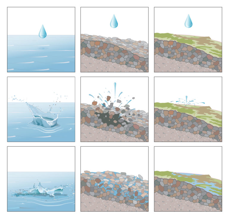 Figure 14.2 Panels of water and soil and sediment