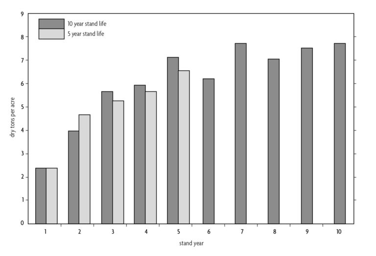 Chart comparing dry roots per acre compared to the stand year