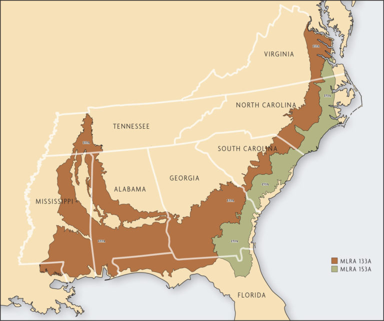 Gulf Atlantic Coastal Plain Map
