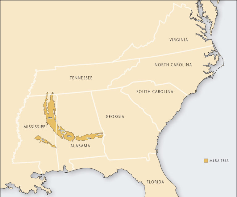 A featured yellow highlighted area through the states of Mississippi and Alabama