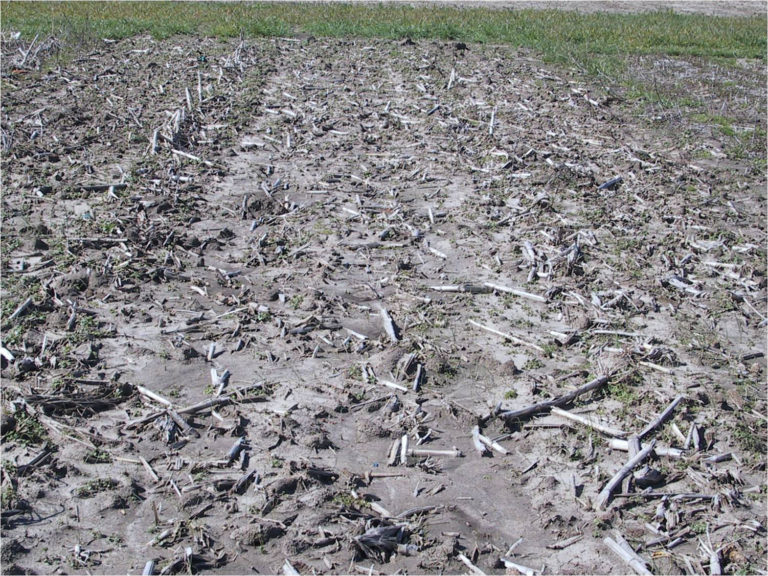 Dark brown muddy soil