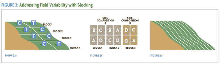Figure 2 Addressing Field Variability with Blocking with hill figures