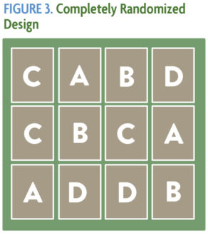 Completely randomized Design chart