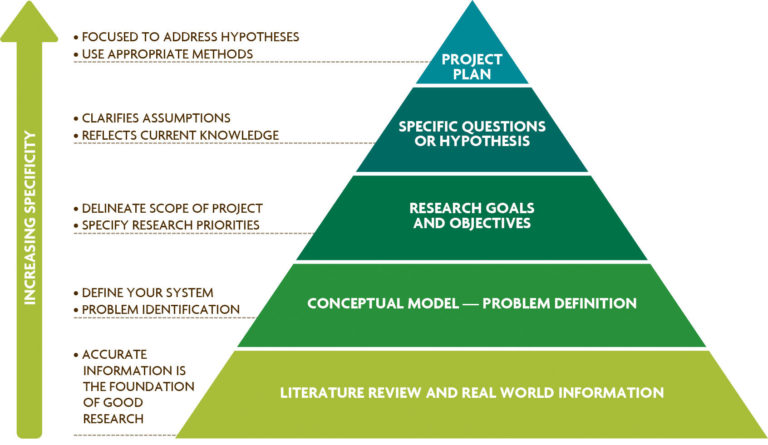 Defining a STEP Model and Its Importance