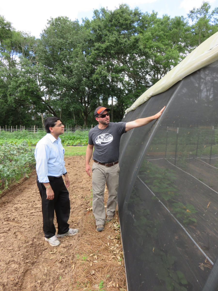 Shade Cloth over crop crows and a man showcasing it to someone else