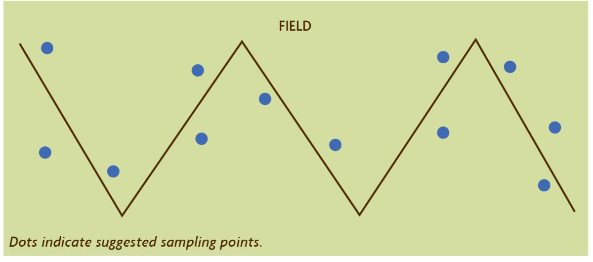 Zig Zag pattern pest monitoring