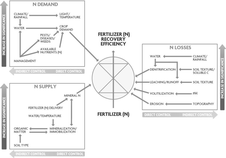 Conceptual model depicting the three main controlling processes and the major mechanisms and factors regulating fertilizer N use