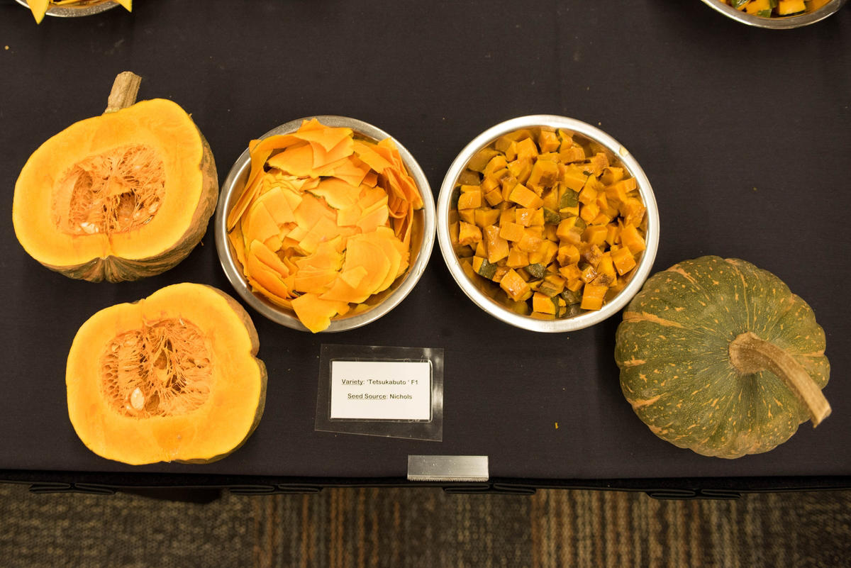 Tetsu Tasting with bowls of cut pumpkin