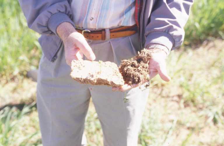 Figure 3.3 A person holding handfuls of soil samples