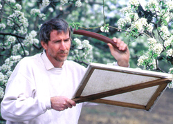 Dave Horton found that less frequent mowing in orchards attracts more beneficial insects to prey on pear psylla, leaf miners