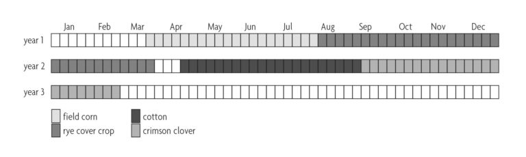 Figure 4.1 Graph comparing which crops are rotated throughout the months of a year over three years