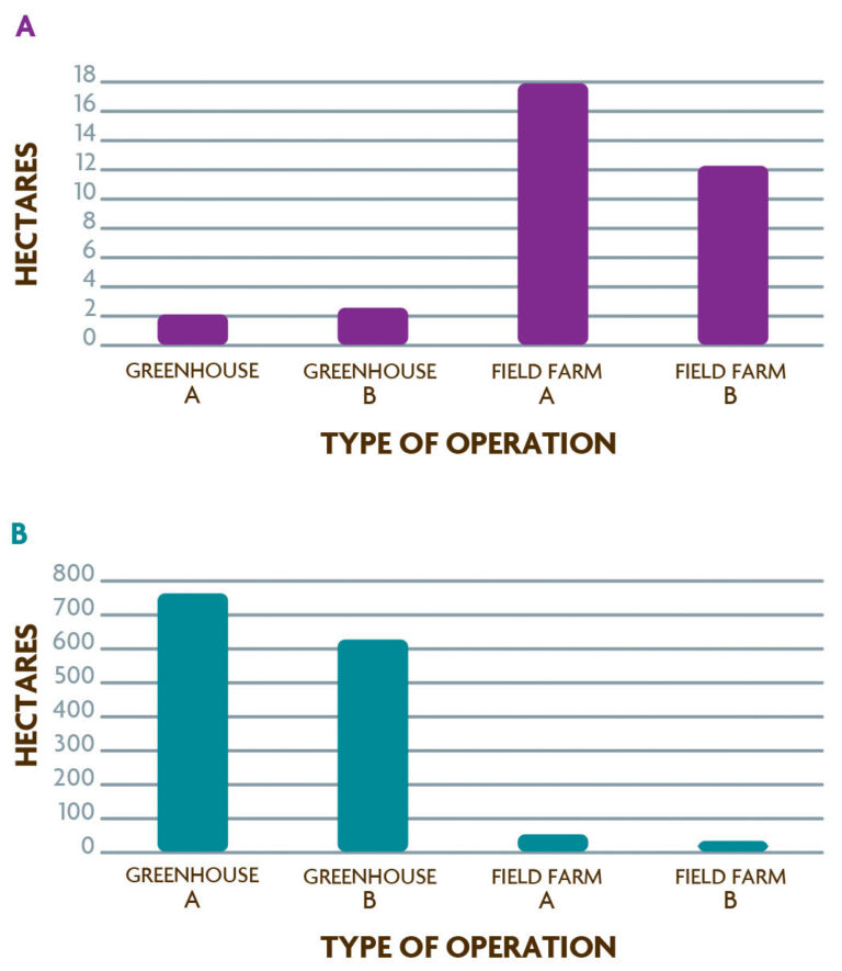 Ecological Footprint of Field Versus Greenhouse Tomatoes. Area required to grow 1,000 tons of tomatoes per year and calculated ecological footprint