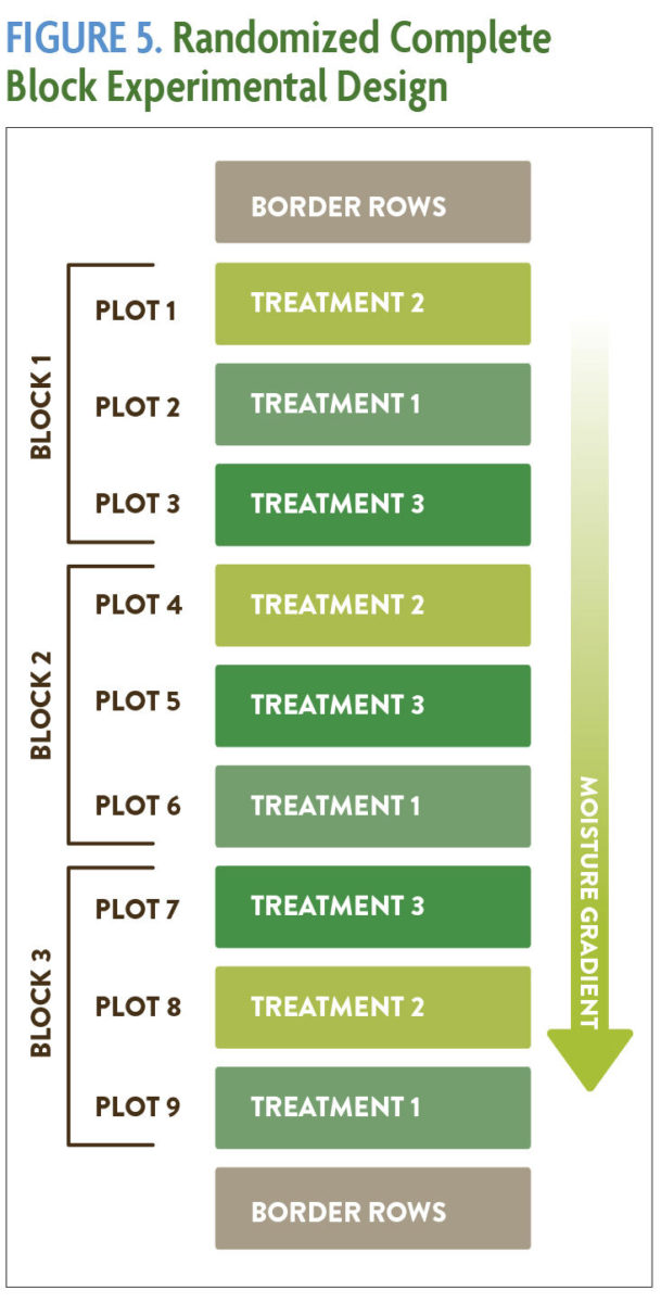 Figure 5 Randomized Complete Block Experimental Design