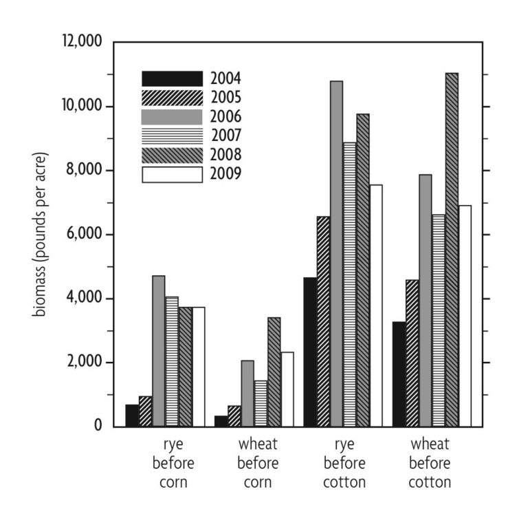 Figure 5.3 A bar chart comparing biomass rye and wheat before corn and cotton