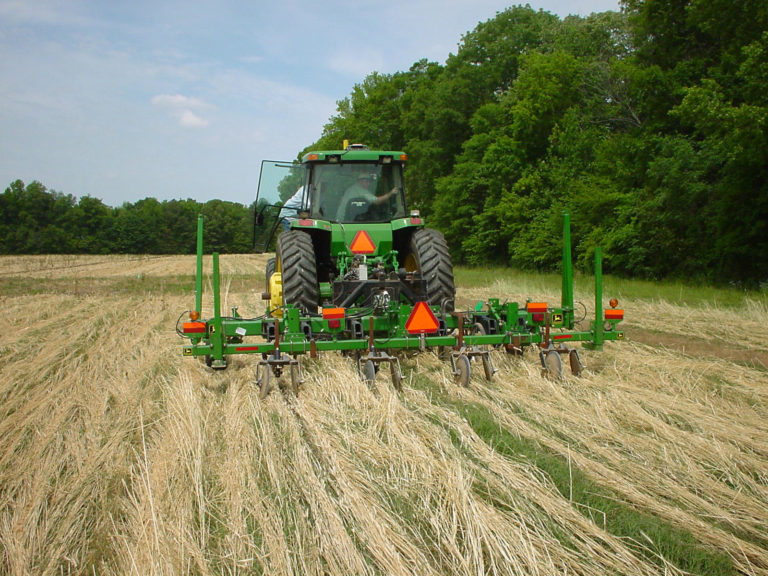 Figure 6.2 A tractor going through a field of of light tan hay and green grass