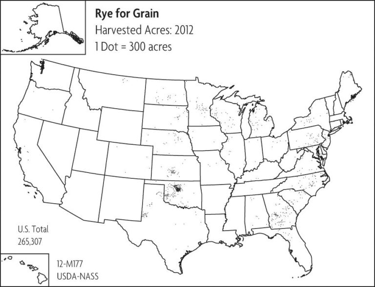 A map of the United States showing marks for where rye for grain is planted