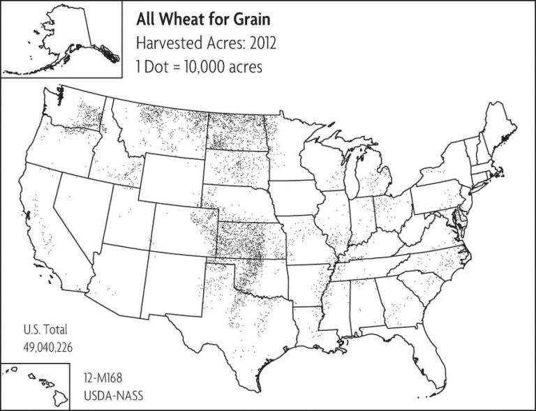 A map of the United States showing marks for where all wheat for granted is planted