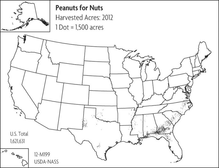 A map of the United States showing marks for where peanuts for nuts is planted