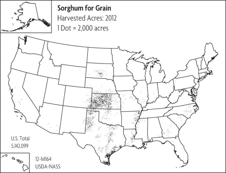 A map of the United States showing marks for where sorghum for grain is planted