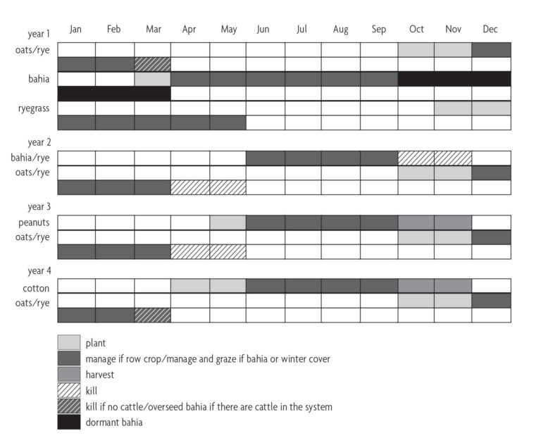 Figure 8.1 A plan for when plants should be planted and maintained throughout the year
