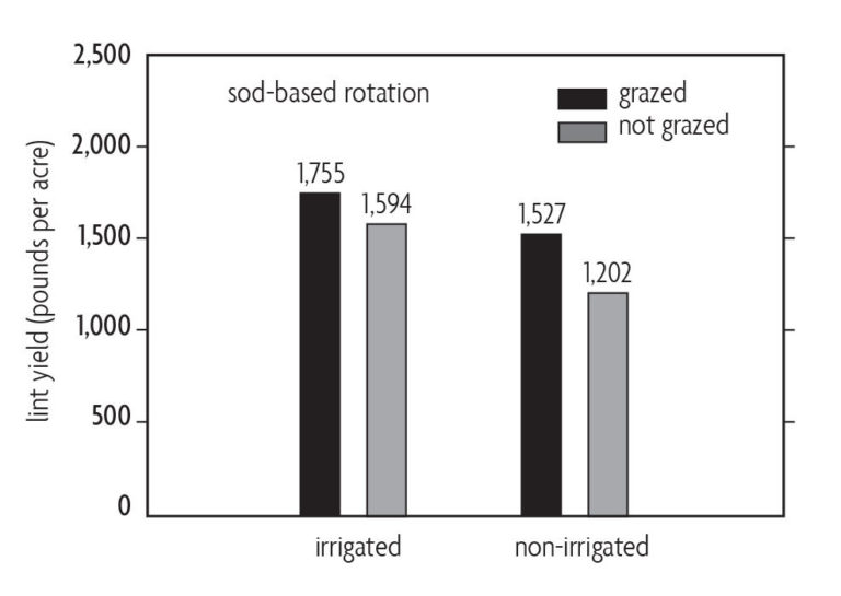 Figure 8.10 A bar chart comparing lint yield and irrigated or non-irrigated soil based on grazing